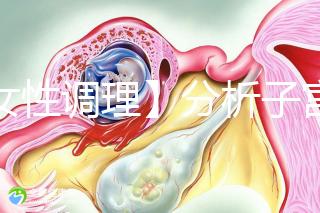 【女性調(diào)理】分析子宮壁薄的四個常見原因，教你三招對癥下藥可以快速改善！