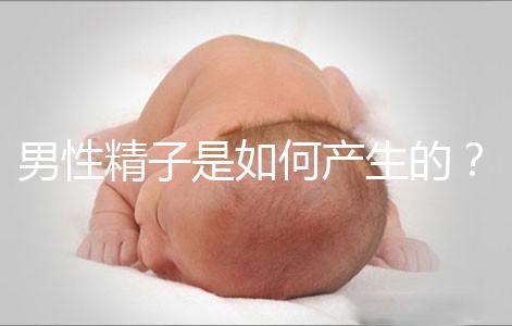 男性精子是如何產生的？