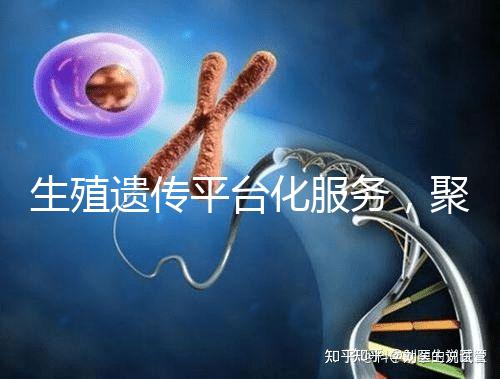 生殖遺傳平臺(tái)化服務(wù)，聚焦精準(zhǔn)化臨床應(yīng)用