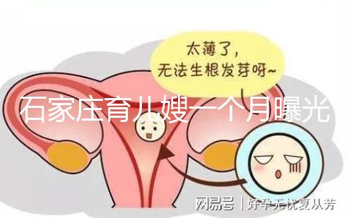 石家莊育兒嫂一個月曝光多少錢？馬寶:公司級別越高越貴