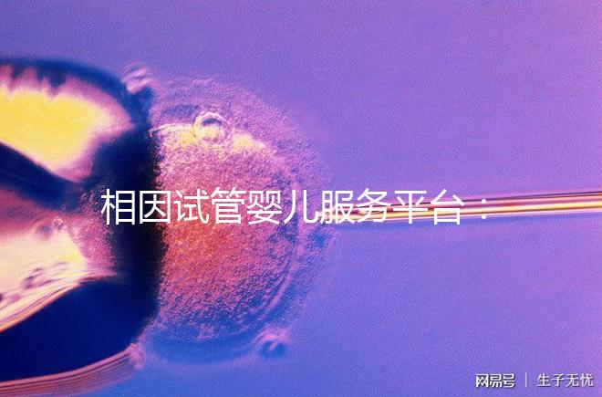 相因試管嬰兒服務(wù)平臺(tái):讓每個(gè)人都有做父母的權(quán)利