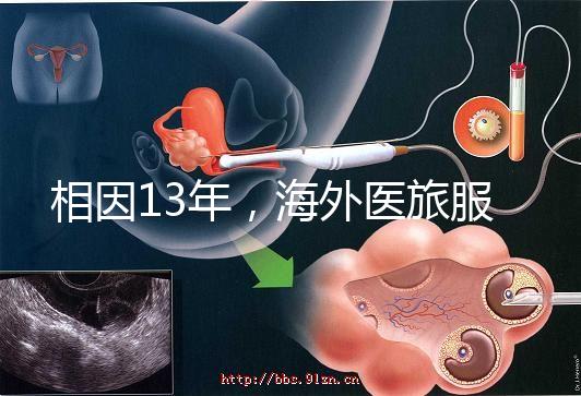 相因13年,海外醫(yī)旅服務標準制定者