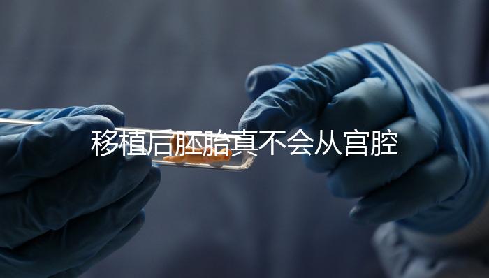 移植后胚胎真不會(huì)從宮腔掉出來！原因有這些...