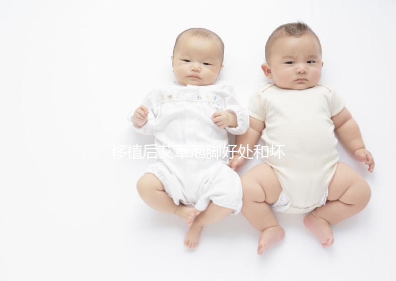 移植后艾草泡腳好處和壞處大PK，想提升試管成功率看過來