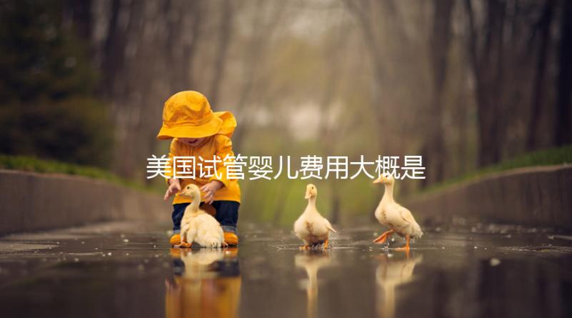 美國(guó)試管嬰兒費(fèi)用大概是多少,試管嬰兒可以選擇男女性別嗎