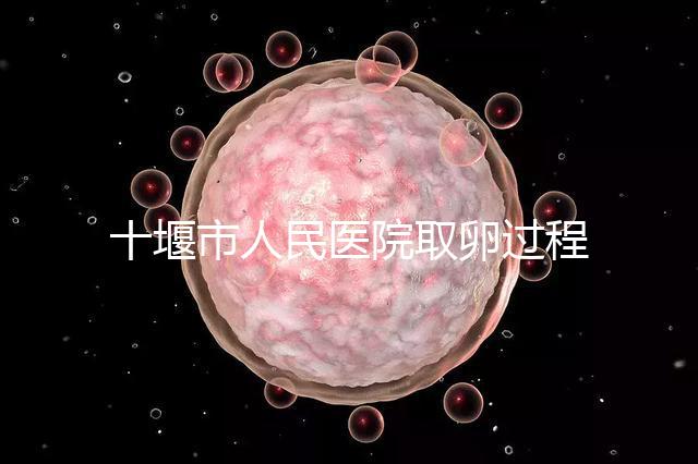 十堰市人民醫(yī)院取卵過程詳解,三種情況可全身麻醉