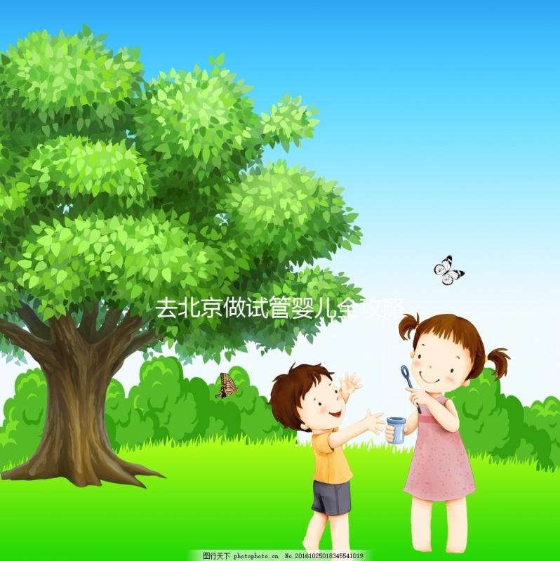 去北京做試管嬰兒全攻略：費用明細、醫(yī)院選擇及成功率分析