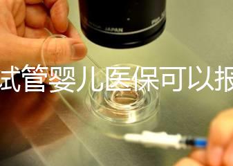 做試管嬰兒醫保可以報銷多少比例（做試管嬰兒醫保可以報銷多少比例的）