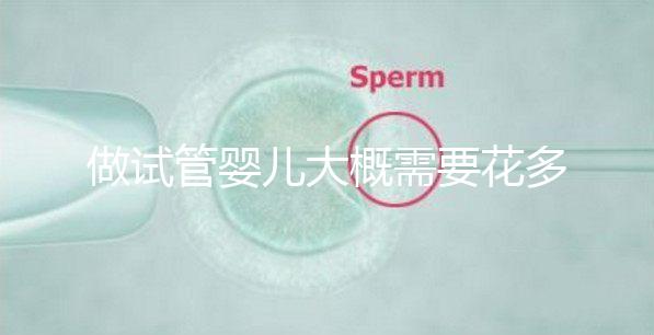 做試管嬰兒大概需要花多少錢（做試管嬰兒大概需要花多少錢呢）