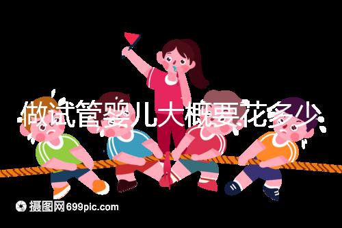 做試管嬰兒大概要花多少錢(qián)?