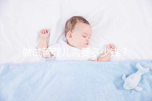 做試管嬰兒需要多少錢？