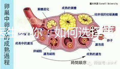 醫(yī)生教你：如何選擇第幾代試管嬰兒？看完再選