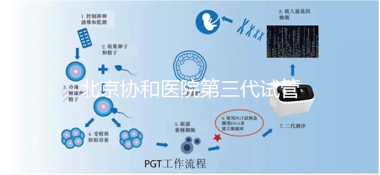 北京協和醫院第三代試管成功率解析：年齡與成功率關系詳解（2025數據）