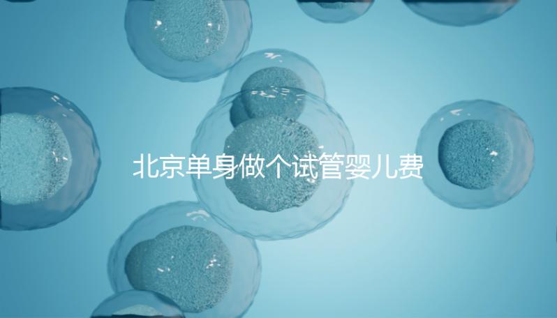 北京單身做個試管嬰兒費用大概要多少？