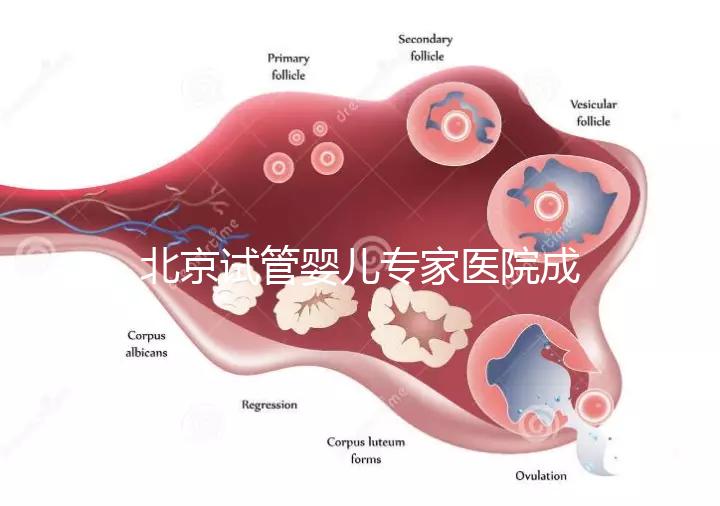 北京試管嬰兒專家醫院成功率高嗎，醫院推薦與費用解析