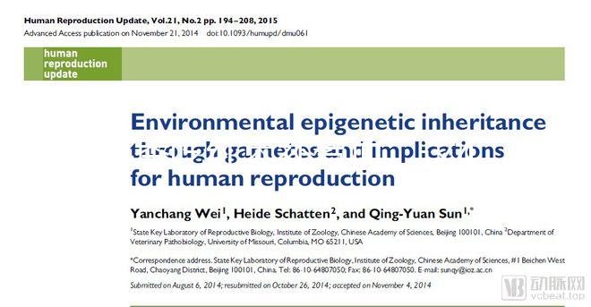 冬季吃紅棗補(bǔ)氣血，這4大禁忌孕婦千萬(wàn)別犯