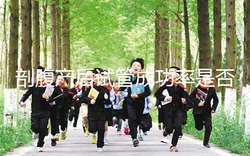 剖腹產后試管成功率是否很低？適當的調理影響真的很小