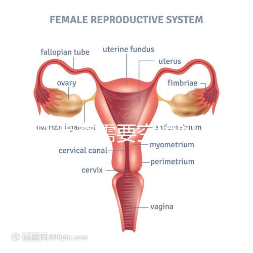 唐氏篩查需要空腹嗎，無錫醫(yī)院單項費用最低一百八十五
