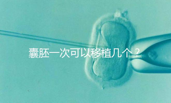囊胚一次可以移植幾個？