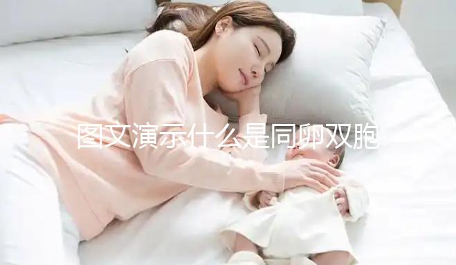 圖文演示什么是同卵雙胞胎，和異卵雙胞胎有3大區別