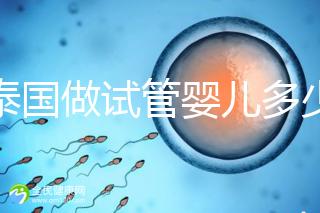 在泰國(guó)做試管嬰兒多少錢(qián)(在泰國(guó)做試管嬰兒多少錢(qián)?)