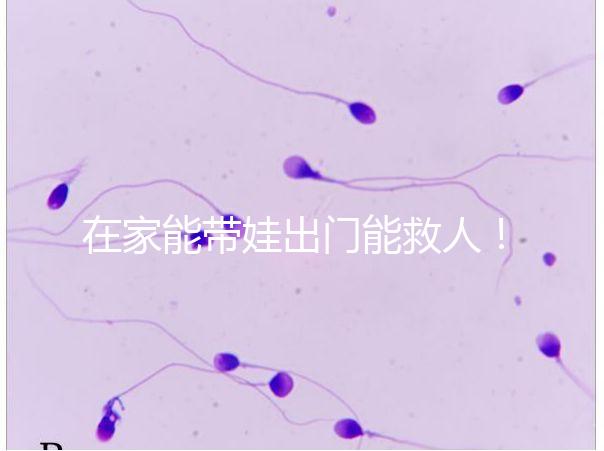 在家能帶娃出門能救人！張云鵬醫生為救人將孩子塞路人