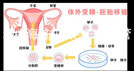 地中海貧血通過三代試管嬰兒真的可以生出健康的孩子嗎？