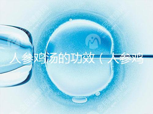 人參雞湯的功效（人參雞湯的功效與作用）