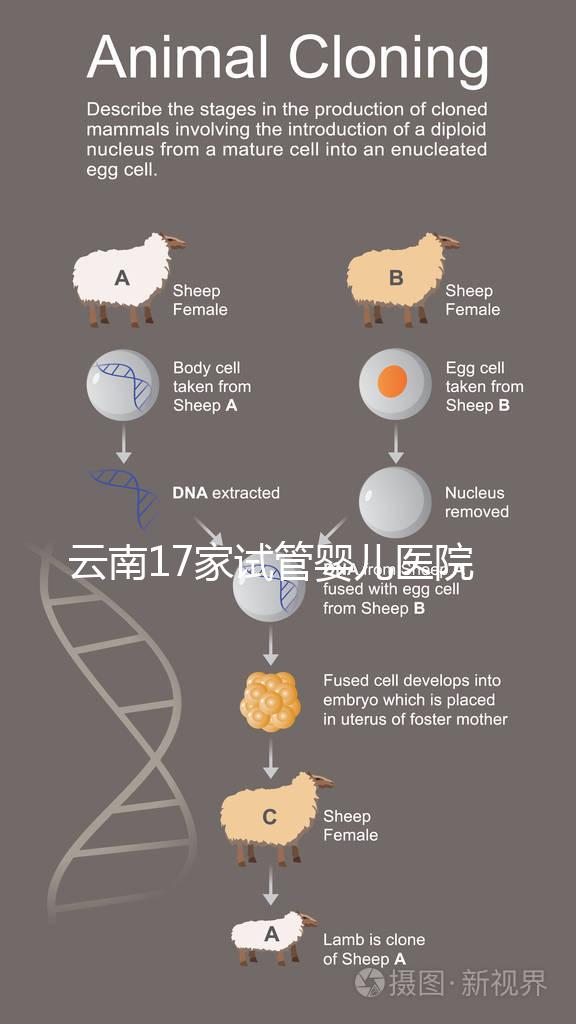 云南17家試管嬰兒醫院排名公開，2023前十優選指南