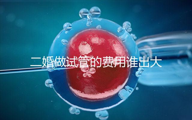 二婚做試管的費(fèi)用誰(shuí)出大揭秘!總共要花多少錢清清楚楚!