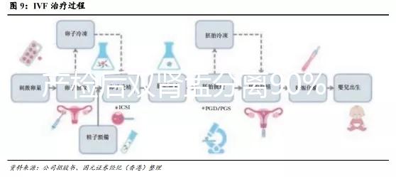 產檢后雙腎盂分離90%是男孩，或為孕期性別鑒定新高度