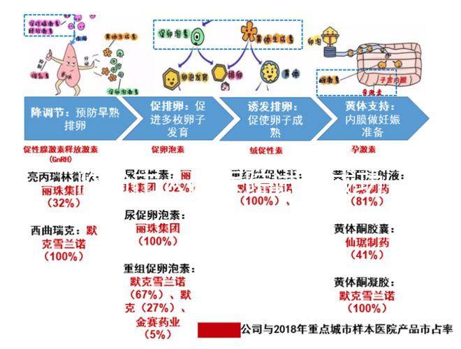 臨汾市人民醫院試管成功率怎么樣，2024好孕案例揭開謎底