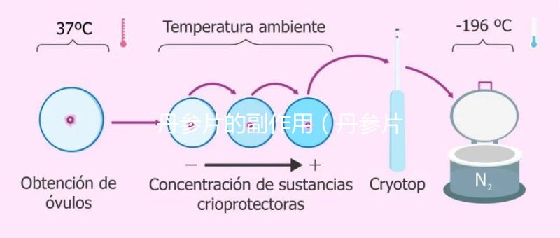 丹參片的副作用（丹參片的副作用有哪些）