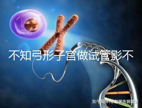 不知弓形子宮做試管影不影響移植速覽，有多危險趁早了解