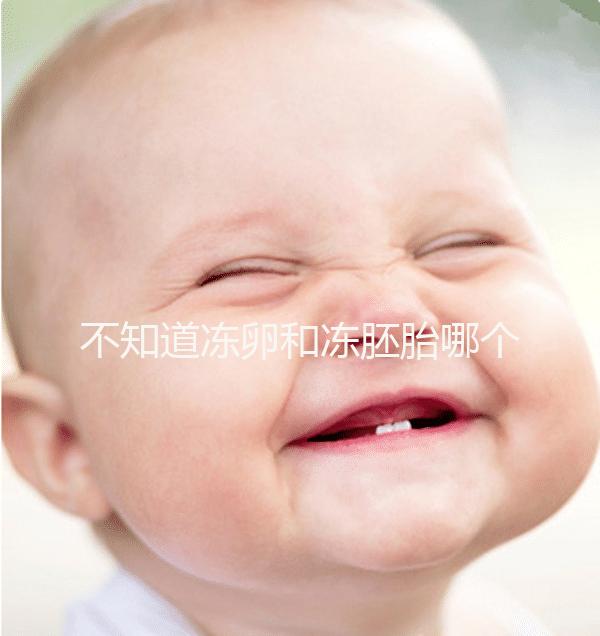 不知道凍卵和凍胚胎哪個(gè)成功率高？這篇告訴你區(qū)別所在