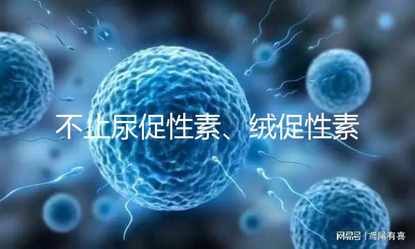 不止尿促性素、絨促性素！試管嬰兒促排卵針還有這些牌子