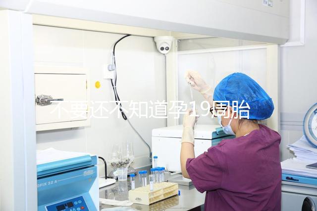 不要還不知道孕19周胎教音樂是怎么放的先聽聽有用嗎？