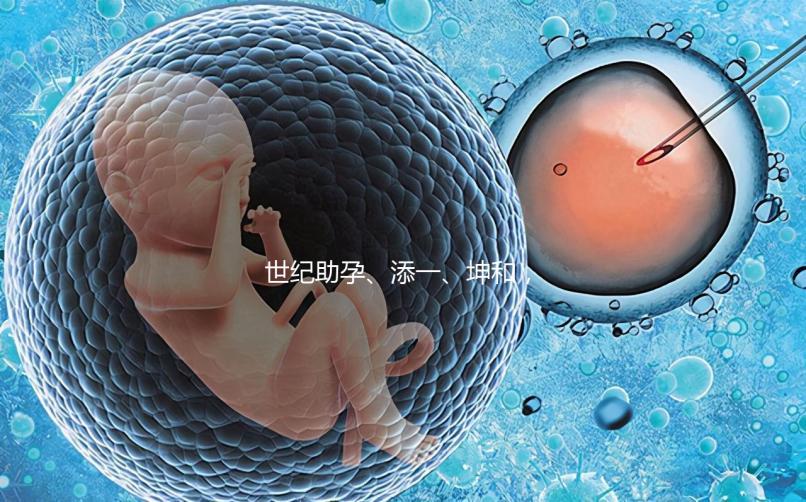 世紀(jì)助孕、添一、坤和，一起來看看上海助孕公司哪家好？