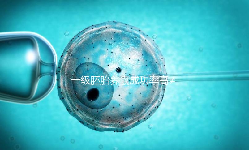 一級胚胎養囊成功率高≠零失敗,染色體異常是主要原因