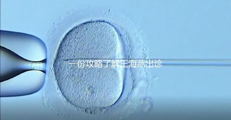 一份攻略了解王海燕出診表，讓你在北醫(yī)三院掛號更簡單