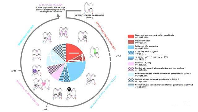 一代、二代、三代人授試管的區別全在這里！還有第四代試管技術！