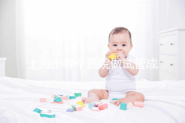 上海市哪個(gè)醫(yī)院做試管成功率高最好的？