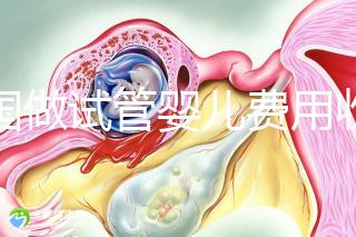 中國做試管嬰兒費用收費價目表一覽，包含具體成本預(yù)算