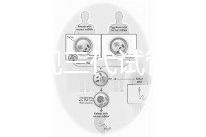 中國(guó)正規(guī)三代試管嬰兒機(jī)構(gòu)名單，2025生殖機(jī)構(gòu)排名參考