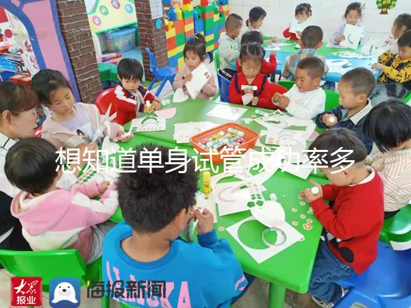 想知道單身試管成功率多少看這，過來人真實案例揭秘真相