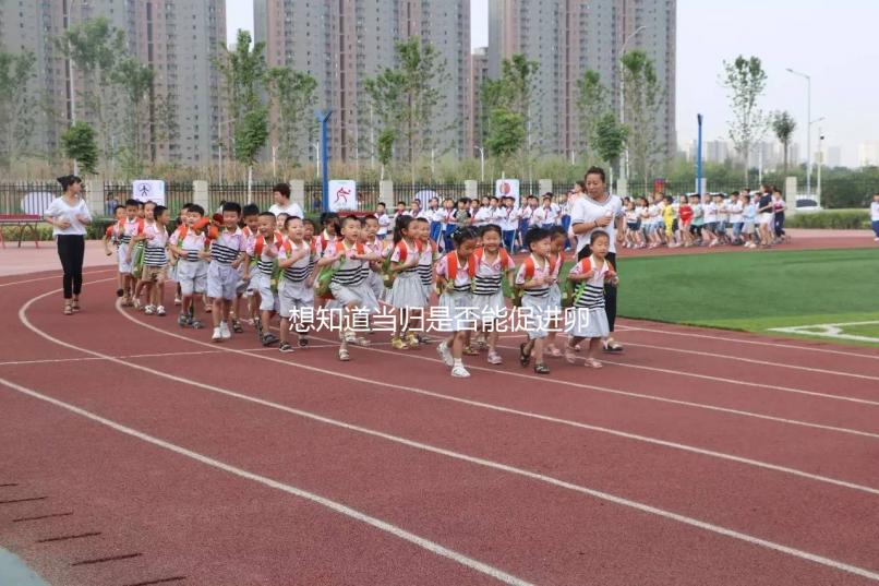 想知道當(dāng)歸是否能促進卵泡發(fā)育，加入棗也能補充內(nèi)膜