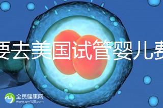 想要去美國試管嬰兒費用要花多少錢？2025年費用明細！