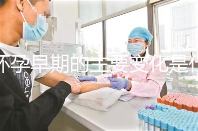 懷孕早期的主要變化是什么？