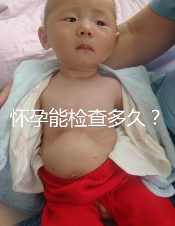 懷孕能檢查多久？