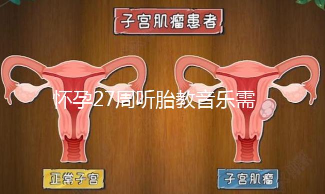 懷孕27周聽胎教音樂需要多長時間？過長會損害聽力